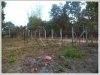 ID: 201 - Vacant land in lao community