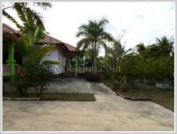 ID: 3137 - Villa house with large yard by rice paddy field for sale in Thadeua road.