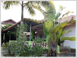 ID: 3137 - Villa house with large yard by rice paddy field for sale in Thadeua road.