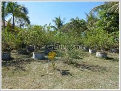 ID: 3137 - Villa house with large yard by rice paddy field for sale in Thadeua road.