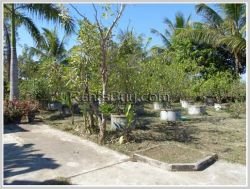 ID: 3137 - Villa house with large yard by rice paddy field for sale in Thadeua road.