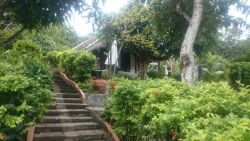 ID: 3738 - Becautiful Resort near Mekong River for sale in Luangprabang City