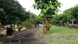 ID: 3738 - Becautiful Resort near Mekong River for sale in Luangprabang City