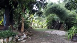 ID: 3738 - Becautiful Resort near Mekong River for sale in Luangprabang City