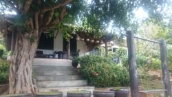 ID: 3738 - Becautiful Resort near Mekong River for sale in Luangprabang City