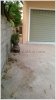 ID: 1964 New Shophouse for rent by pave road