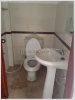 ID: 1964 New Shophouse for rent by pave road