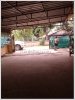 ID: 495 - Nice villa house by good access at Dankham Village