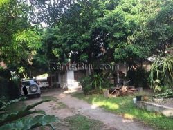 ID: 4418 - Large shady garden house near Lao Indochina Tower for rent, good for residential or home