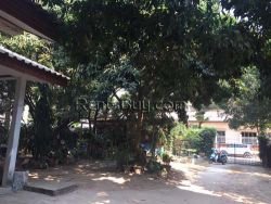 ID: 4418 - Large shady garden house near Lao Indochina Tower for rent, good for residential or home