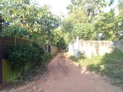 ID: 4392 - Brand new house for sale in Sokkham Village